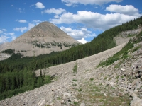 Old Road Near Fording River Pass